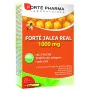 Gelée royale Forté Pharma 1000 mg 20 Unités de Forté Pharma, Gelée royale - Réf : S05102286, Prix : 15,19 €, Remise : %