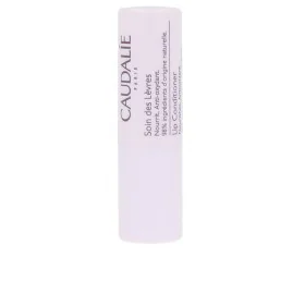 Bálsamo Labial Caudalie Soin Des Levres Antioxidante 4,5 g de Caudalie, Bálsamos - Ref: S05106440, Precio: 7,31 €, Descuento: %