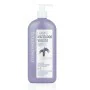 Shampoing Matifiant pour Cheveux Blonds Clearé Institute 400 ml de Clearé Institute, Shampooings - Réf : S05106695, Prix : 14...