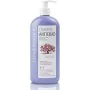 Shampooing anti-âge Clearé Institute 400 ml de Clearé Institute, Shampooings - Réf : S05106700, Prix : 14,74 €, Remise : %