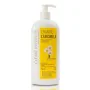 Shampoo Clearé Institute Camomile 5-in-1 400 ml by Clearé Institute, Shampoos - Ref: S05106826, Price: 14,91 €, Discount: %