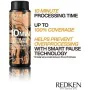 Permanent Dye Redken Color Gels Lacquers Minutos 3 x 60 ml Nº 6ABN-6.19 (3 Units) by Redken, Permanent Colour - Ref: S0510869...