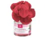 Désodorisant Cristalinas Fleur Framboise Mûre 40 ml de Cristalinas, Vaporisateurs - Réf : S05109707, Prix : 7,54 €, Remise : %