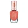 Esmalte de uñas Sally Hansen Color Therapy Nº 300 14,7 ml de Sally Hansen, Esmaltes - Ref: S05112511, Precio: 12,28 €, Descue...