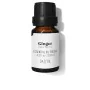 Essential oil Daffoil Ginger 10 ml by Daffoil, Essential oils - Ref: S05117293, Price: 13,78 €, Discount: %