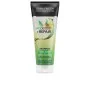 Restorative Shampoo John Frieda Detox +Repair Detoxifying 250 ml by John Frieda, Shampoos - Ref: S05117405, Price: 11,17 €, D...