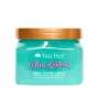 Exfoliante Corporal Tree Hut Blue Lagoon 510 g de Tree Hut, Exfoliantes - Ref: S05122979, Preço: 16,13 €, Desconto: %