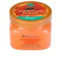 Body Exfoliator Tree Hut Sunkissed Poppy 510 g by Tree Hut, Scrubs - Ref: S05122985, Price: 17,52 €, Discount: %