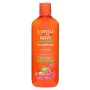 Anti-dandruff Shampoo Cantu Scalp relief 400 ml by Cantu, Shampoos - Ref: S05123184, Price: 9,39 €, Discount: %