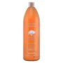 Nourishing Shampoo Argan Sublime Farmavita 250 ml 1 L by Farmavita, Shampoos - Ref: S0555157, Price: 16,52 €, Discount: %