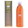 Nourishing Shampoo Argan Sublime Farmavita 250 ml 1 L by Farmavita, Shampoos - Ref: S0555157, Price: 16,52 €, Discount: %