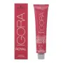 Permanent Dye Igora Royal Schwarzkopf by Schwarzkopf, Permanent Colour - Ref: S0560621, Price: 9,50 €, Discount: %