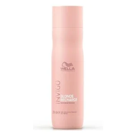 Shampoo Color Recharge Wella (250 ml) by Wella, Shampoos - Ref: S0570035, Price: 10,18 €, Discount: %