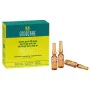 Ampolas Endocare Antienvelhecimento (1 ml x 7) de Endocare, Hidratantes - Ref: S0575262, Preço: 25,24 €, Desconto: %