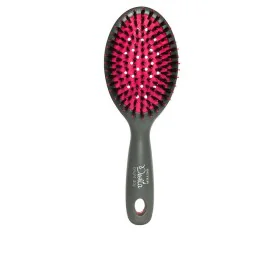 Escova Beter Deslía Bright Day Cor de Rosa de Beter, Escovas para cabelo - Ref: S0576220, Preço: 10,25 €, Desconto: %