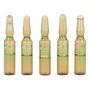 Ampoules Endoncare Tensage Régénérateur (10 x 2 ml) de Endocare, Lotions toniques - Réf : S0576637, Prix : 37,03 €, Remise : %