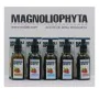 Huile visage Magnoliophytha Aceite De Rosa Mosqueta 30 ml 50 ml de Magnoliophytha, Hydratants - Réf : S0581783, Prix : 13,92 ...