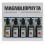 Facial Oil Magnoliophytha 8436592580378 30 ml 50 ml (50 ml) by Magnoliophytha, Moisturisers - Ref: S0581785, Price: 14,33 €, ...