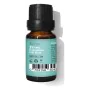 Óleo Essencial Daffoil Thyme Tomilho 10 ml de Daffoil, Aromaterapia - Ref: S0583211, Preço: 9,86 €, Desconto: %