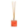 Perfume Sticks Mikado Albaricoque Eco Happy Albaricoque 95 ml by Eco Happy, Fragrant Room Sprays - Ref: S0584071, Price: 8,03...