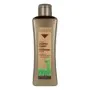 Revitalizing Shampoo Biokera Arganology Salerm 3001 300 ml by Salerm, Shampoos - Ref: S0585162, Price: 16,47 €, Discount: %