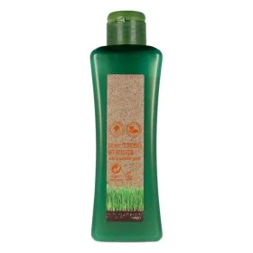 Shampoo Colour Reinforcement Biokera Natura Salerm Macadamia (300 ml) by Salerm, Shampoos - Ref: S0585164, Price: 13,83 €, Di...