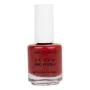 Nail polish Vegan Nail Polish Vera & The Birds Red Roses for Babe (14 ml) by Vera & The Birds, Polish - Ref: S0587127, Price:...