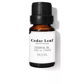 Ätherisches Öl Daffoil Cedar Leaf Zedernholz 10 ml von Daffoil, Ätherische Öle - Ref: S0588749, Preis: 10,44 €, Rabatt: %