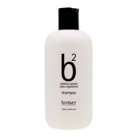 Shampoo Broaer B2 Greasy Hair (250 ml) by Broaer, Shampoos - Ref: S0596002, Price: 9,04 €, Discount: %