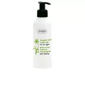 Gel Detergente Viso Ziaja Pepino Y Menta Cetriolo Menta 200 ml di Ziaja, Detergenti - Rif: S0598080, Prezzo: 6,09 €, Sconto: %