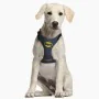 Arnês para Cães Batman XXS/XS Azul de Batman, Arneses - Ref: S0725821, Preço: 13,16 €, Desconto: %