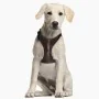 Harnais pour Chien Star Wars Marron M/L de Star Wars, Harnais - Réf : S0725839, Prix : 13,29 €, Remise : %