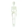 Halloween Decorations Skeleton 150 cm Fluorescent by BigBuy Home, Halloween - Ref: S1132707, Price: 7,08 €, Discount: %