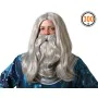 Wig with beard Wizard Grey by BigBuy Carnival, Wigs and hairpieces - Ref: S1134235, Price: 11,36 €, Discount: %