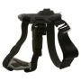 Pet Harness with Support for Sports Camera KSIX Black by KSIX, Camera lenses - Ref: S1902472, Price: 9,80 €, Discount: %