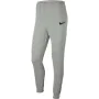 Pantalón para Adultos PARK 20 TEAM Nike CW6907 063 Gris Hombre de Nike, Hombre - Ref: S2028809, Precio: 43,54 €, Descuento: %