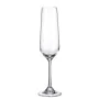 Set de Verres Bohemia Crystal Sira 200 ml champagne 6 Unités de Bohemia Crystal, Coupes à champagne - Réf : S2213984, Prix : ...