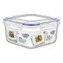 Porta pranzo Ermetico Dem 1,5 L 18 x 18 x 10 cm (12 Unità) di Dem, Conservazione di alimenti - Rif: S2231334, Prezzo: 23,52 €...