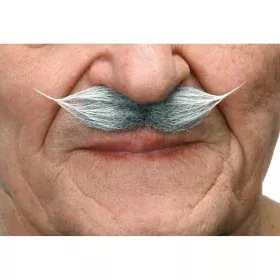 Bigode My Other Me Cinzento Branco de My Other Me, Partes corporais falsas - Ref: S2418502, Preço: 4,02 €, Desconto: %