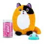 Fluffy toy Bizak Mimimiau Cat 24 cm (1 Unit) by Bizak, Animals and figures - Ref: S2432518, Price: 20,59 €, Discount: %