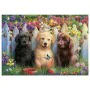 Puzzle Educa Doggies 100 Pièces de Educa, Puzzles classiques - Réf : S2436220, Prix : 7,27 €, Remise : %