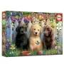 Puzzle Educa Doggies 100 Stücke von Educa, Klassische Puzzles - Ref: S2436220, Preis: 7,27 €, Rabatt: %