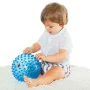 Pelota sensorial Moltó 20 cm Azul de Moltó, Pelotas para Bebés - Ref: S2436444, Precio: 9,85 €, Descuento: %