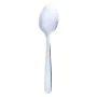 Cuillère à dessert Quid Universal Métal Acier inoxydable 18,5 cm 12 Unités de Quid, Cuillères - Réf : S2700886, Prix : 8,76 €...