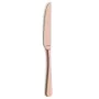 Table knife Amefa Austin 12 Units Metal Copper by Amefa, Knives - Ref: S2702256, Price: 48,19 €, Discount: %