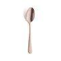 Set of Spoons Amefa Austin Dessert spoon (12 pcs) by Amefa, Serving tongs and spoons - Ref: S2702257, Price: 34,78 €, Discoun...