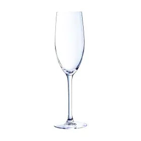 Coupe de champagne Chef & Sommelier Cabernet Transparent verre 240 ml de C&S, Coupes à champagne - Réf : S2705844, Prix : 36,...