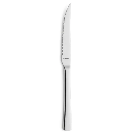 Meat Knife Set Amefa Atlantic Steel Metal 12 Units by Amefa, Knives - Ref: S2706059, Price: 29,20 €, Discount: %