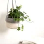 Decorative basket Vinthera Moa Cotton Grey 18 x 16 cm by Vinthera, Storage baskets - Ref: S2711030, Price: 6,34 €, Discount: %