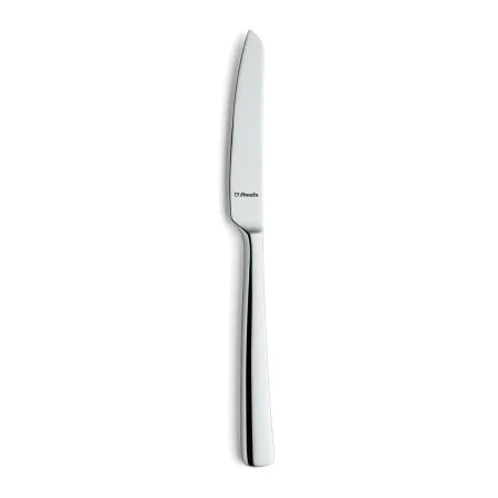 Knife Set Amefa Tokyo Metal Stainless steel Steel (12 Units) by Amefa, Knives - Ref: S2711875, Price: 36,47 €, Discount: %